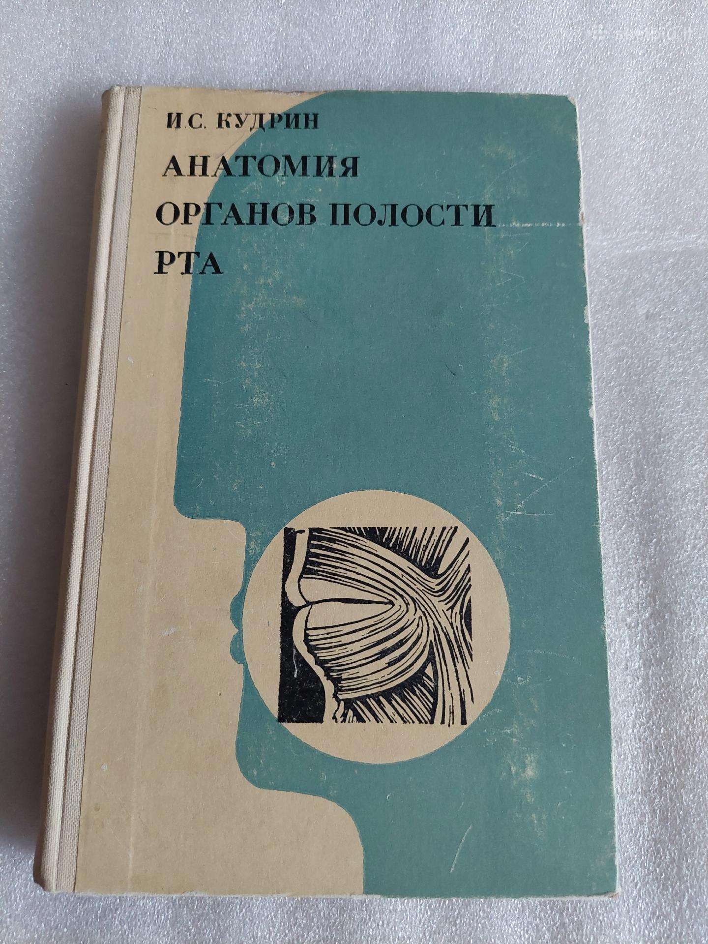 Анатомия органов полости рта