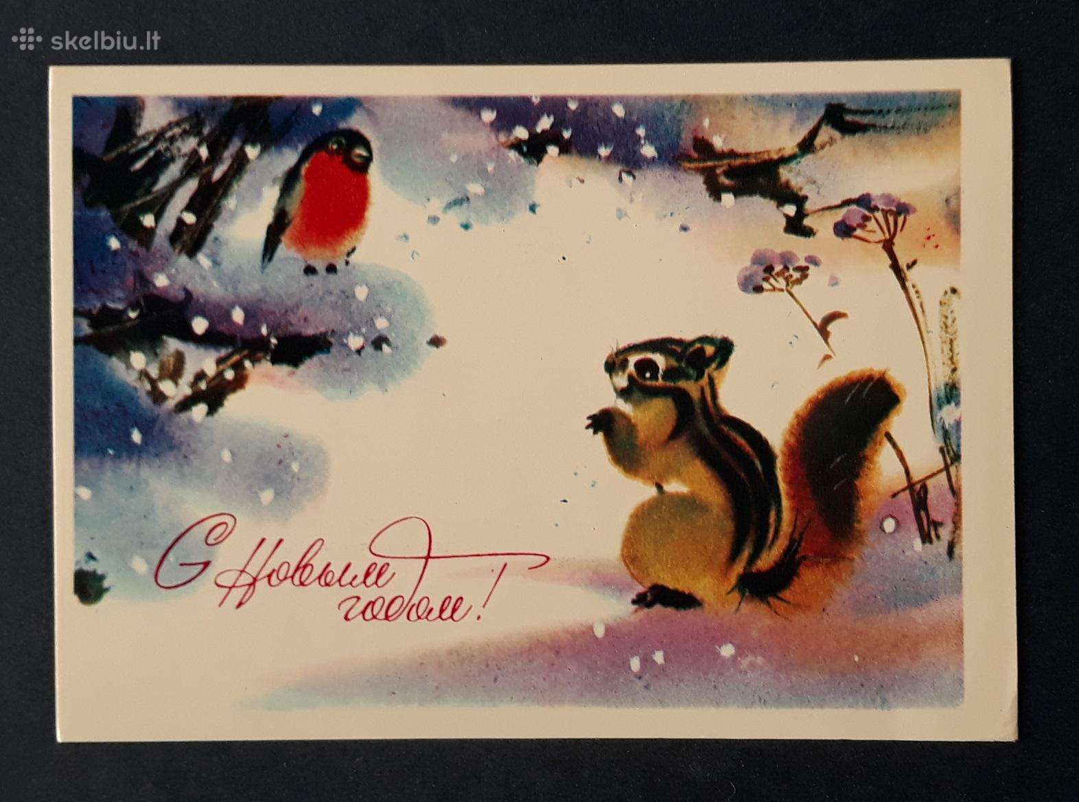 Naujametinė 1981 164 švari