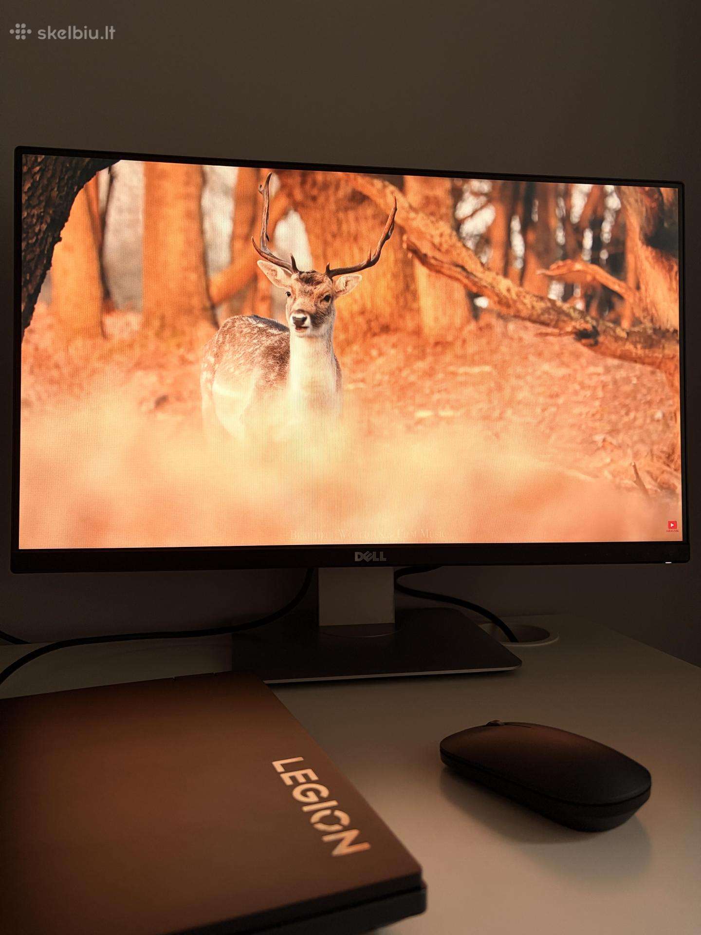 Dell Ultrasharp U2415 24,1" Ips monitorius