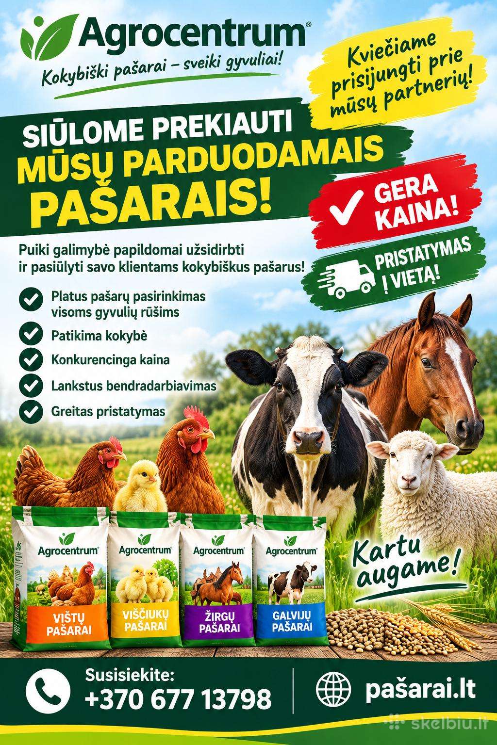 Pašarai vištoms