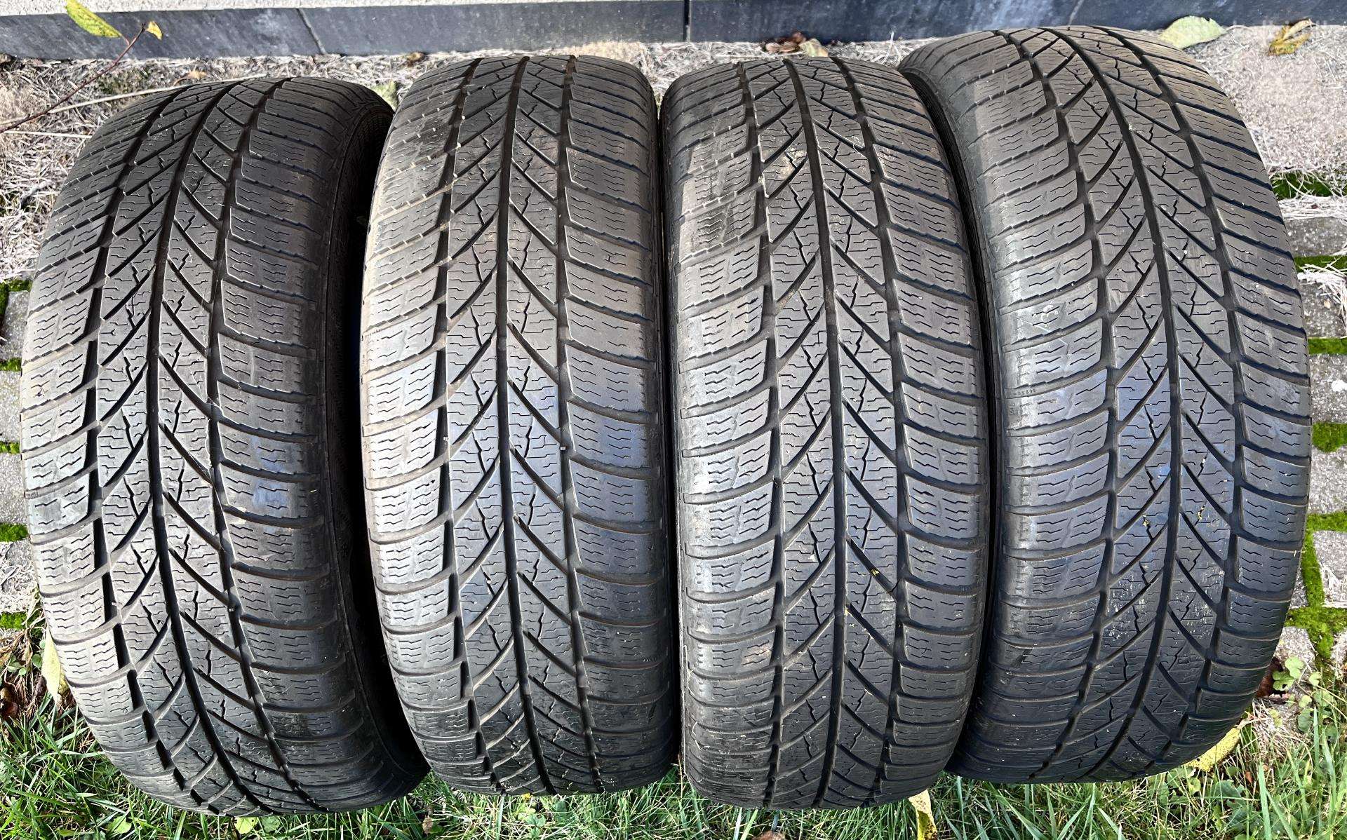 Gislaved Euro Frost 5 R15 195/60