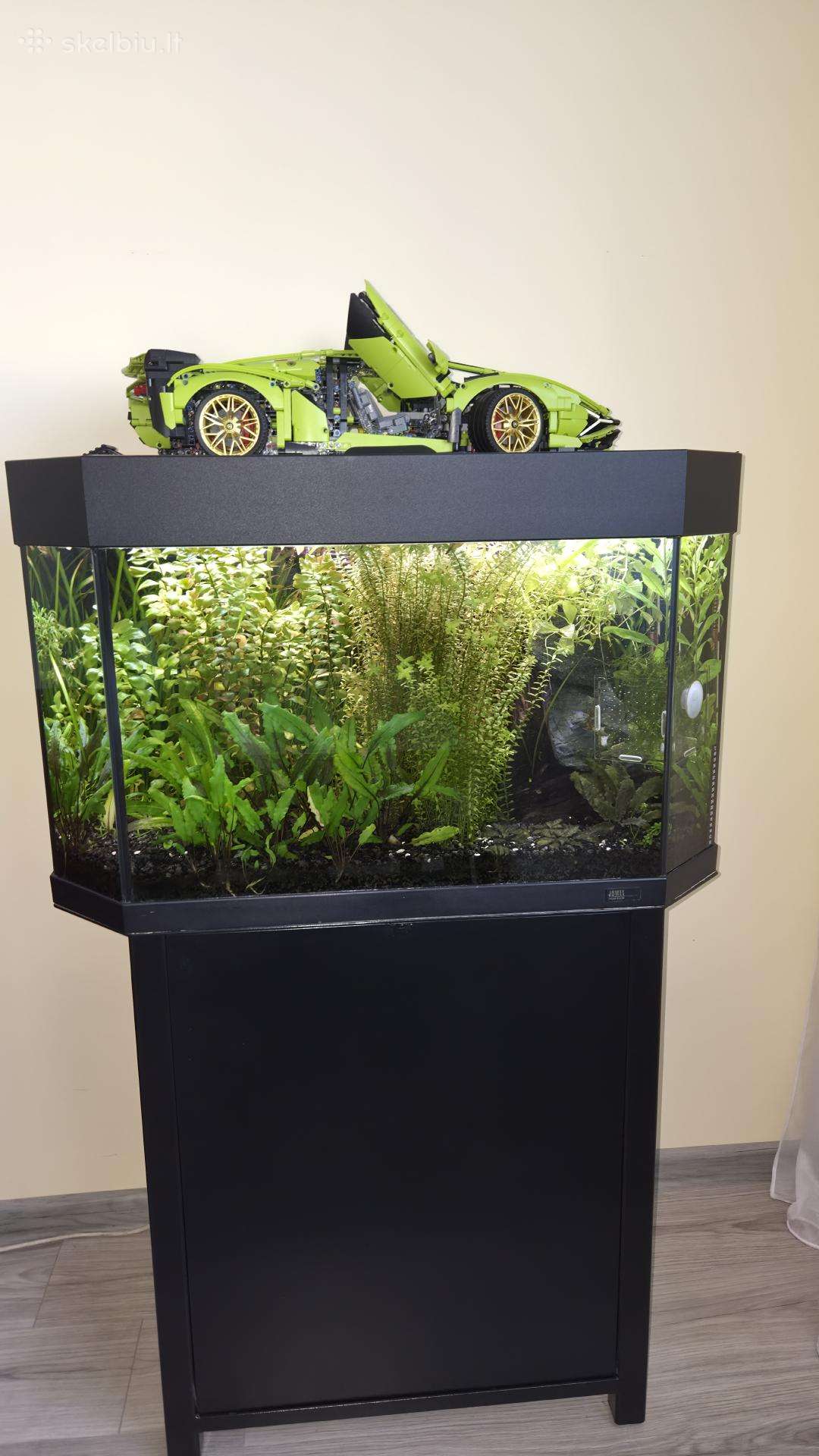 Juwel Panorama 80 120 litre akvariumas