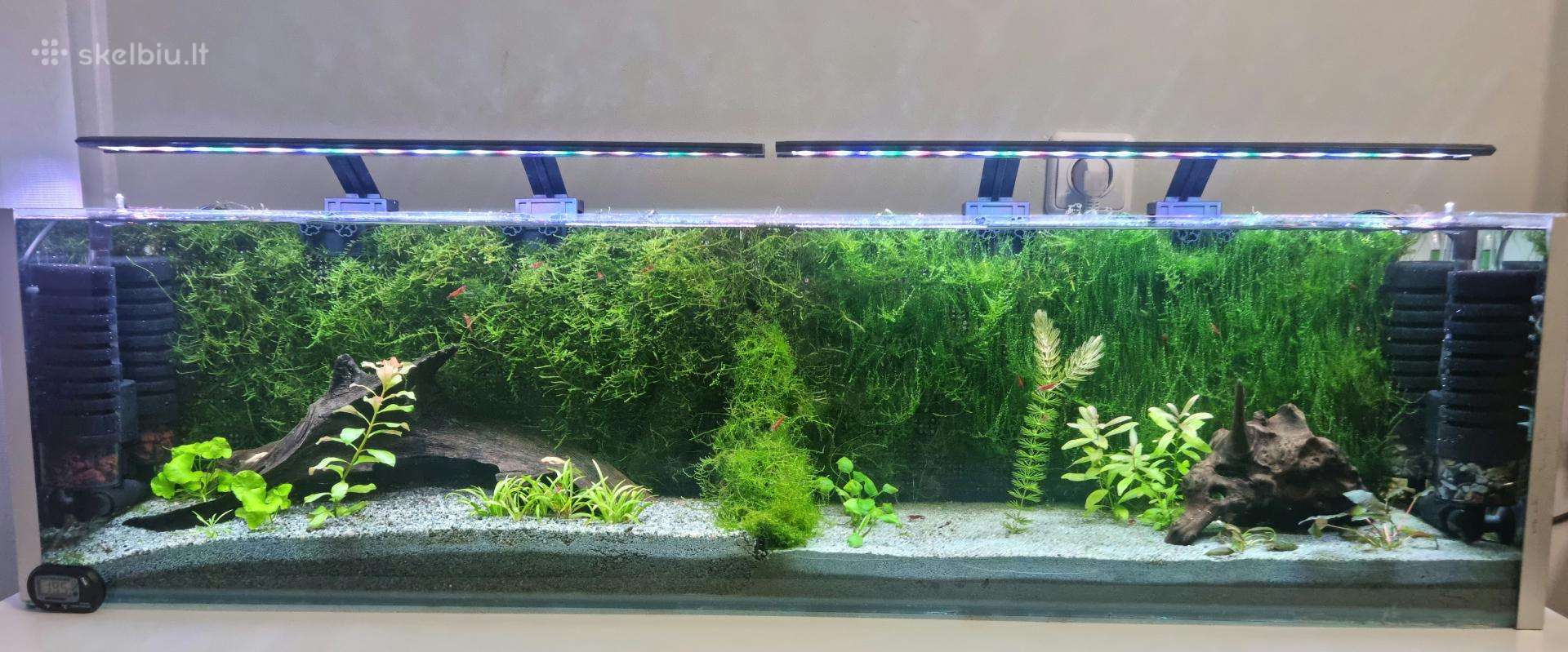 Akvariumas 50ltr