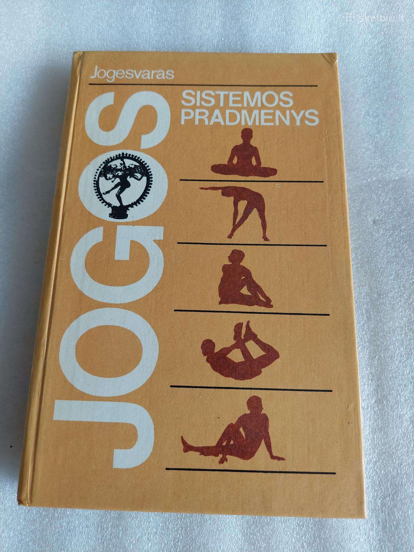 Jogos sistemos pradmenys