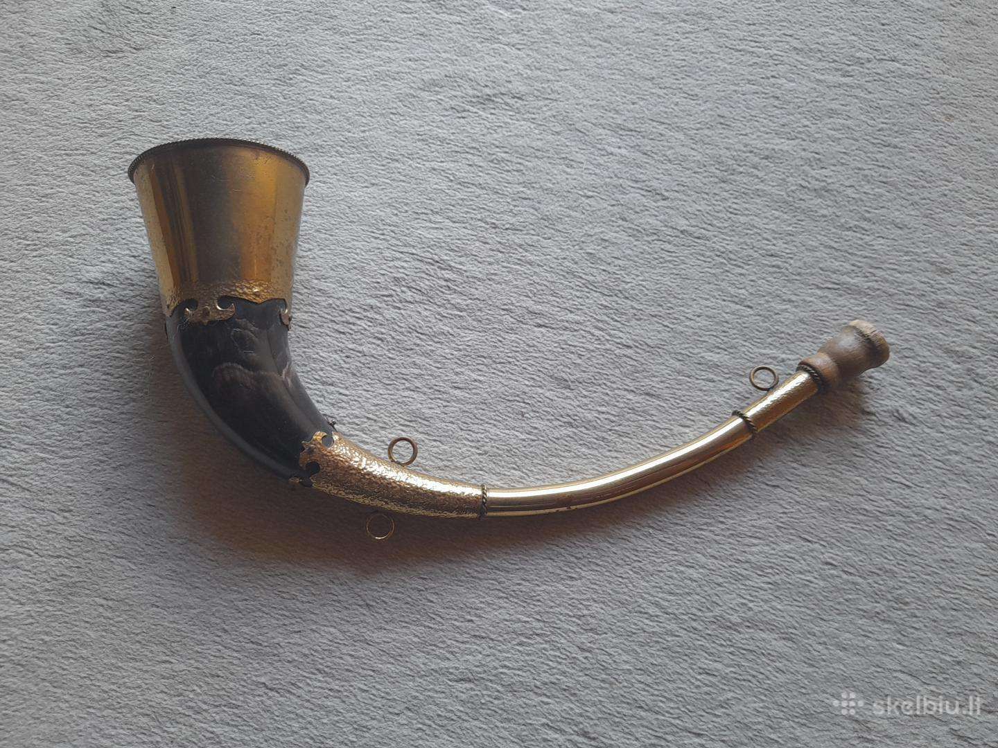 Medziokles butaforinis ragas