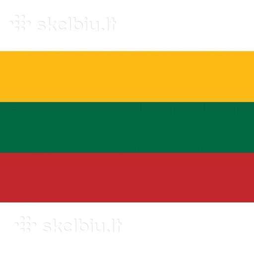 Kaunas. CE Vairuotojas