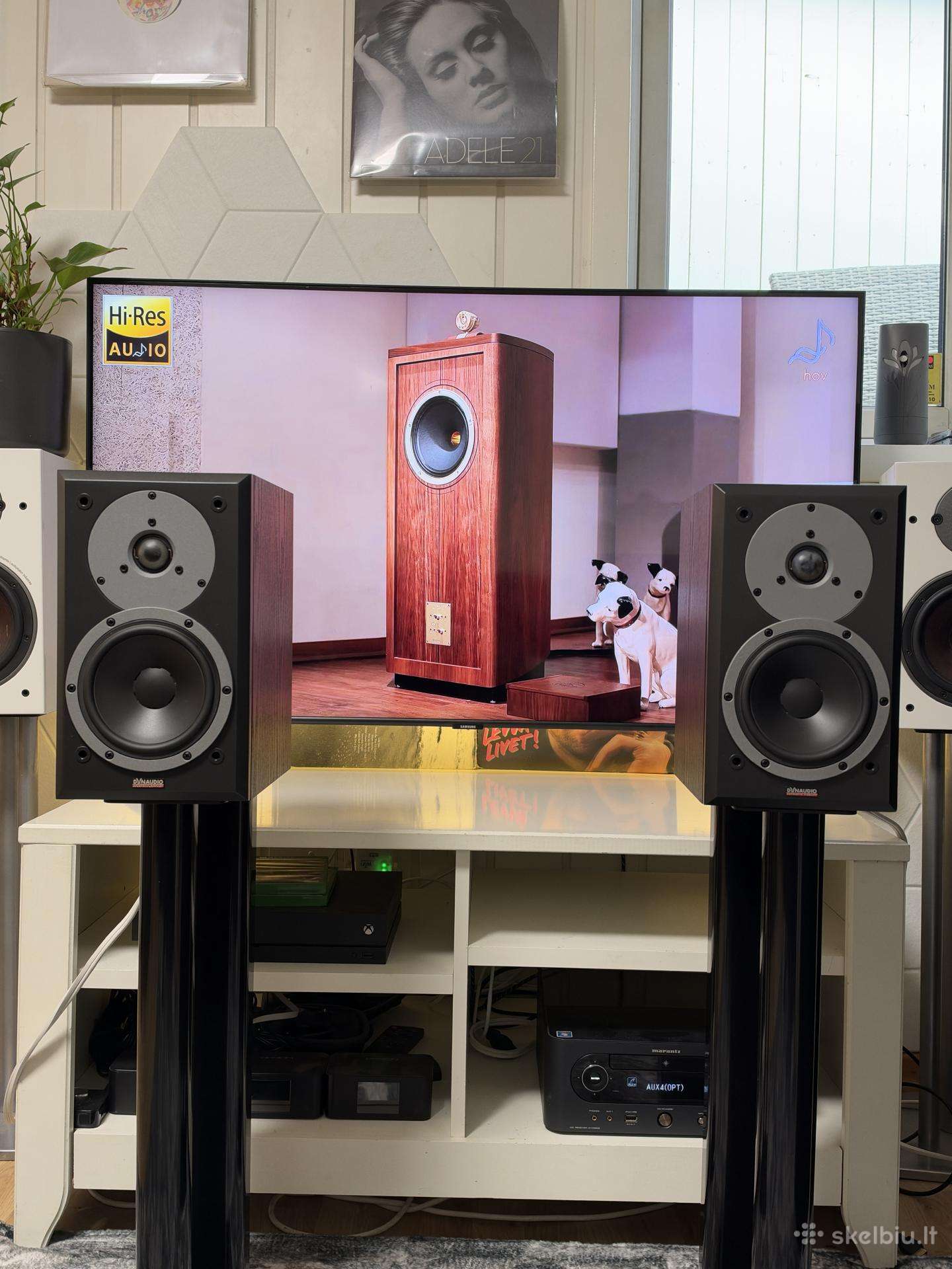 Dynaudio Dm 2/6 (Made in Denmark)
