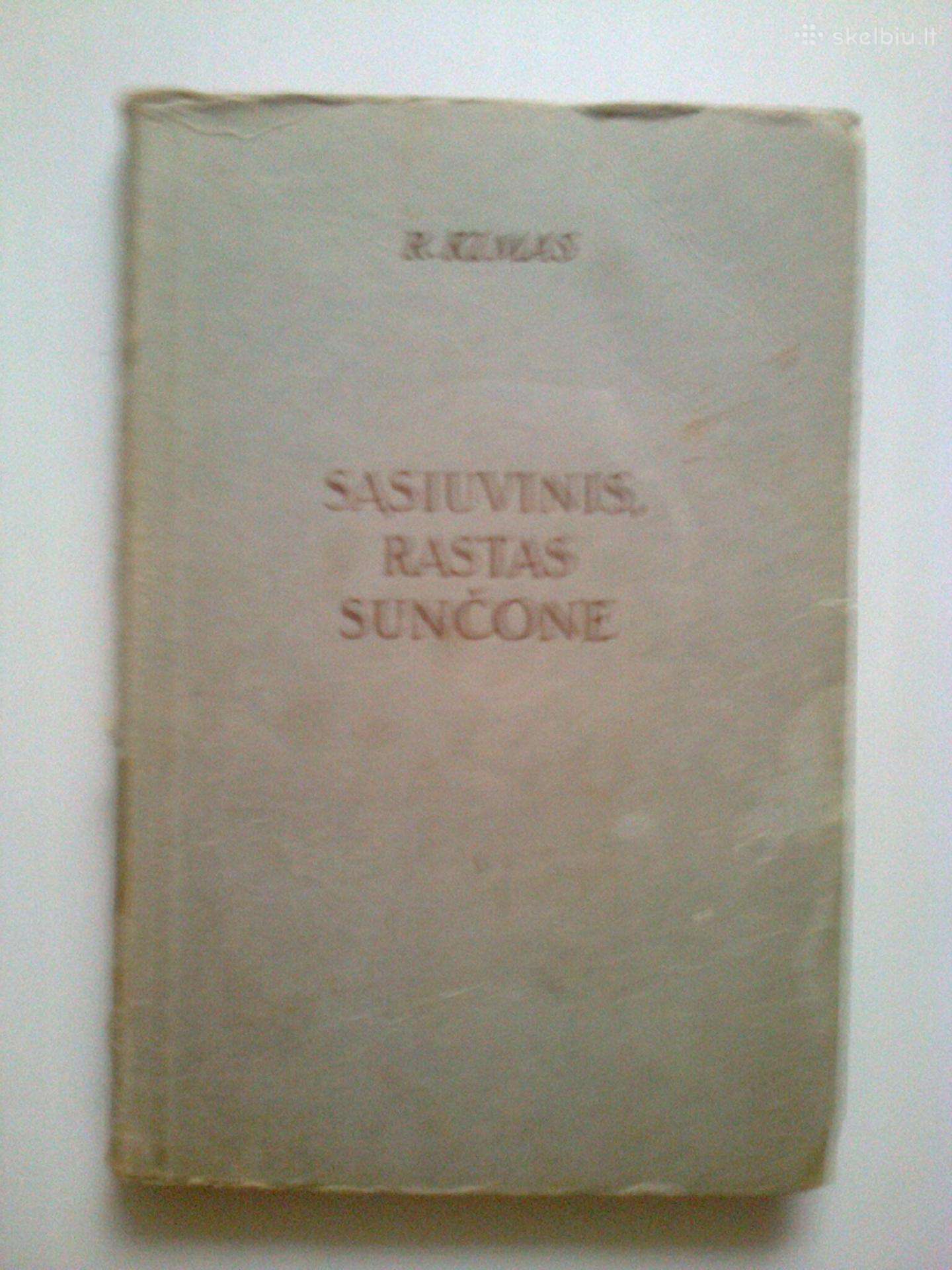 Knyga "Sąsiuvinis rastas Sunčone"