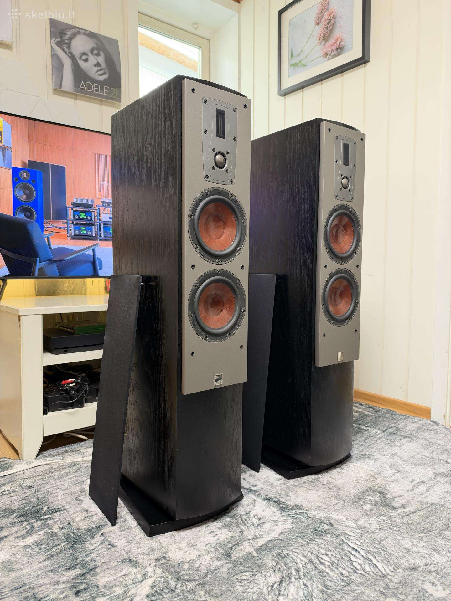 Dali Mentor 6 (Made in Denmark)