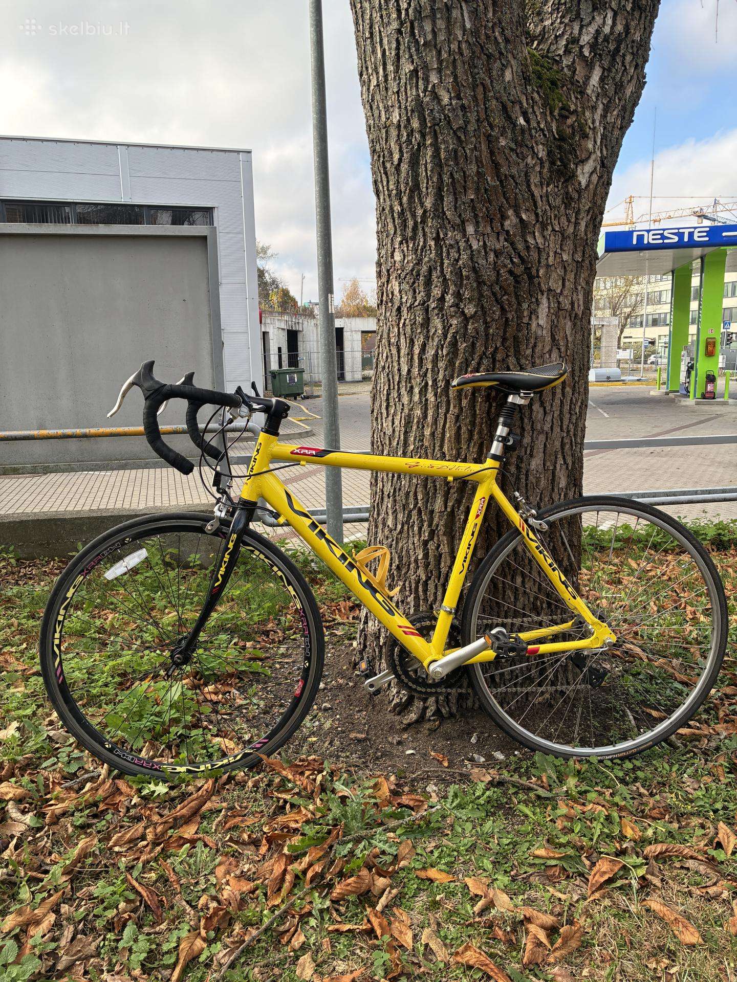 Plentinis dviratis Viking Xrr 54 cm