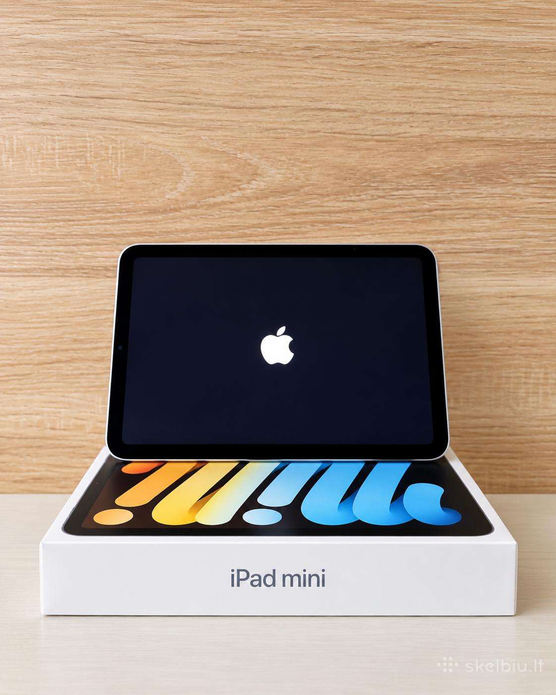 iPad mini 7 256 GB