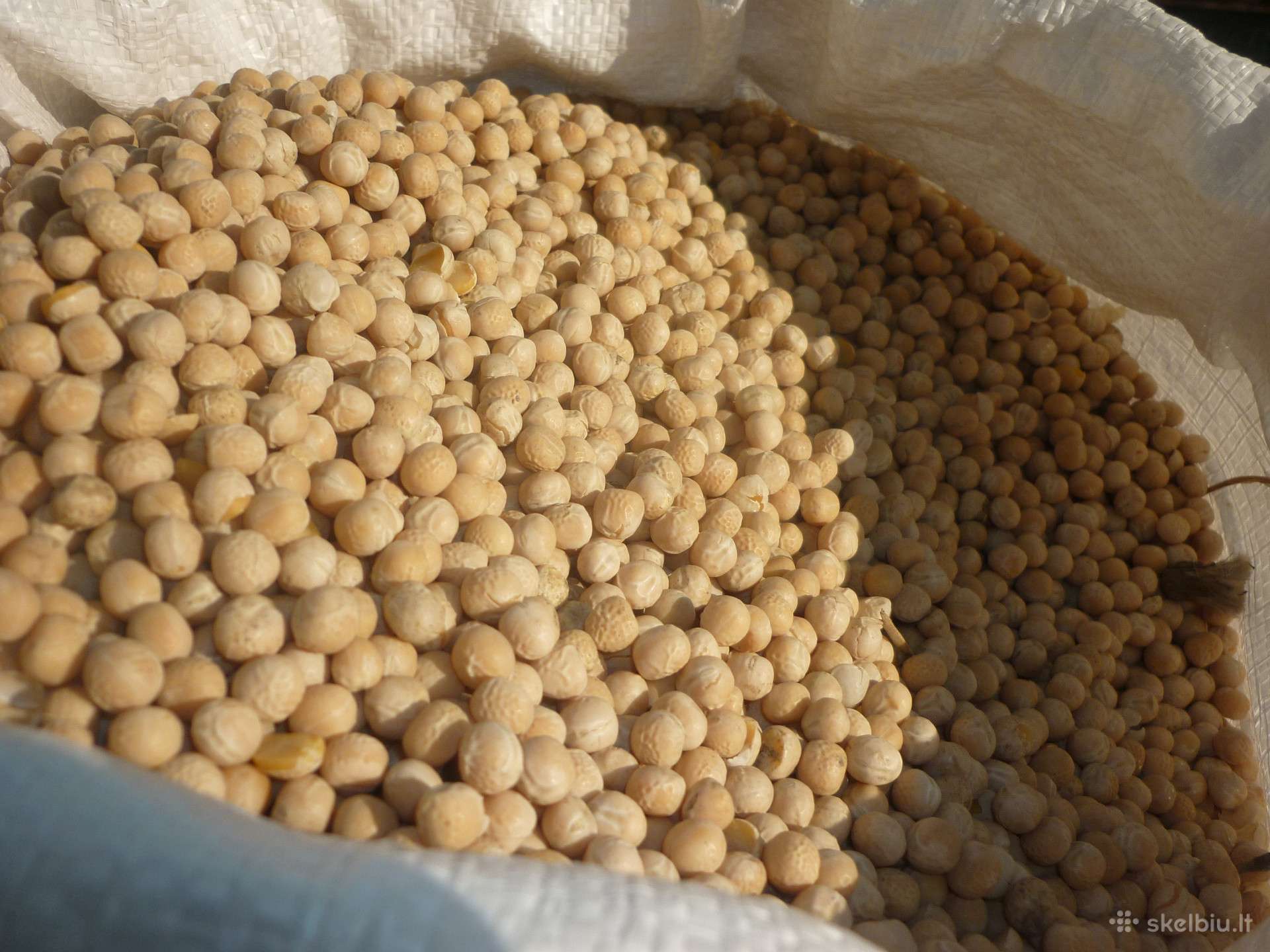 Žirniai žvejybai 10kg-9eur 20kg-15eur 40kg-24eur