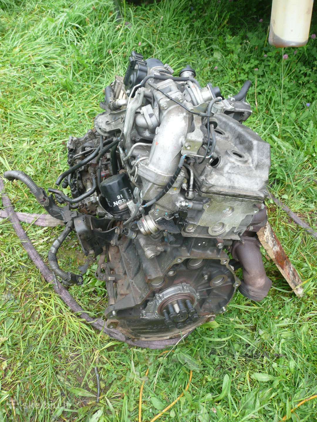 Toyota, другое