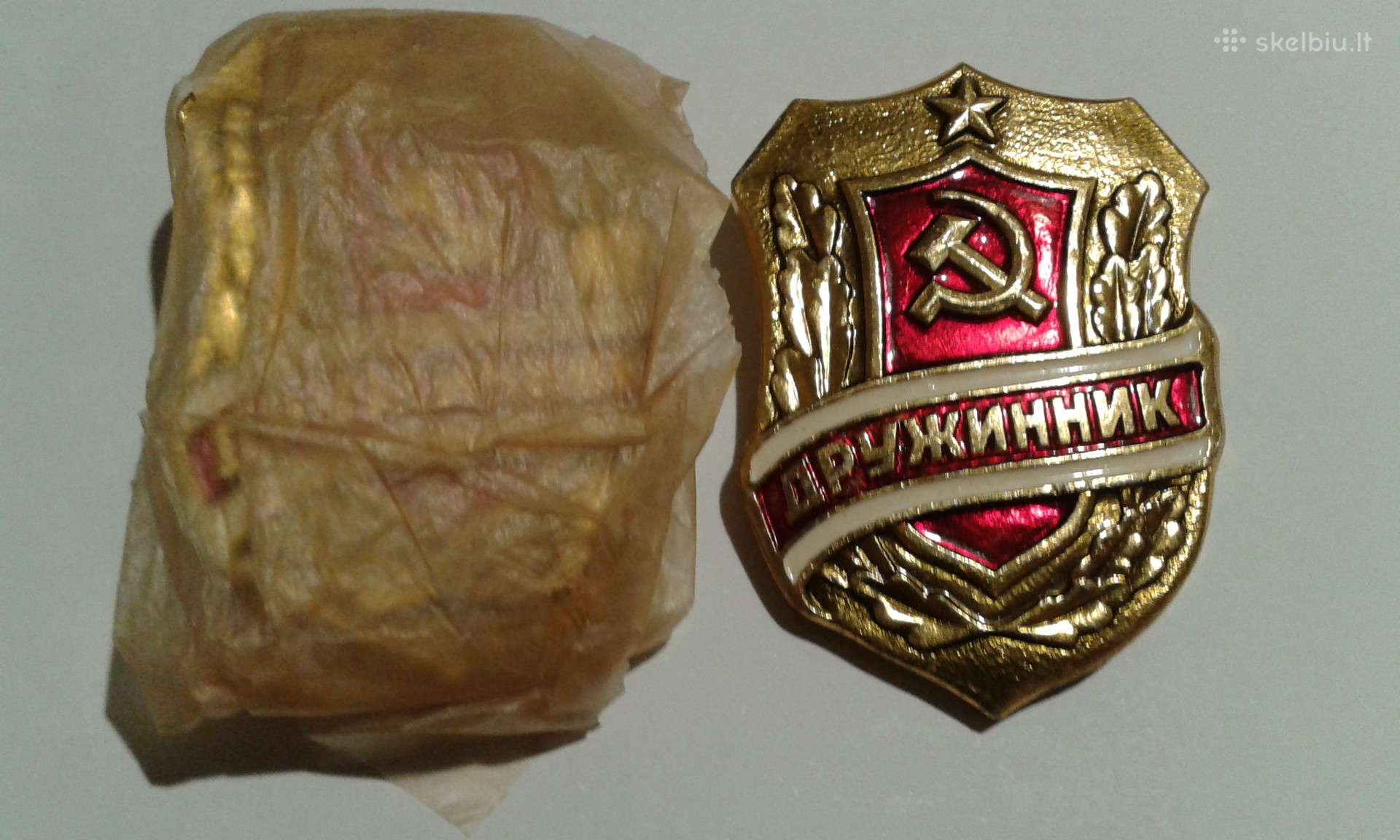 Druzinnik