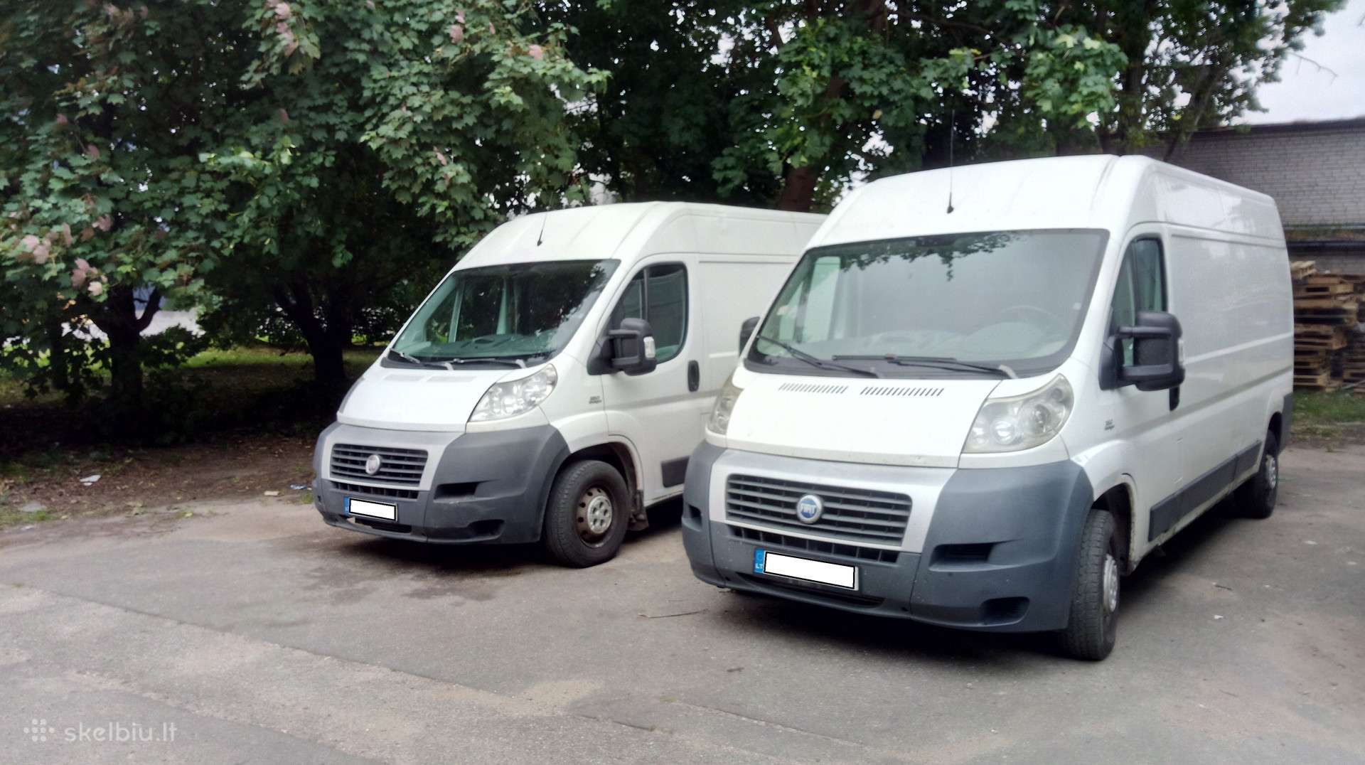 Fiat Ducato, cargo van
