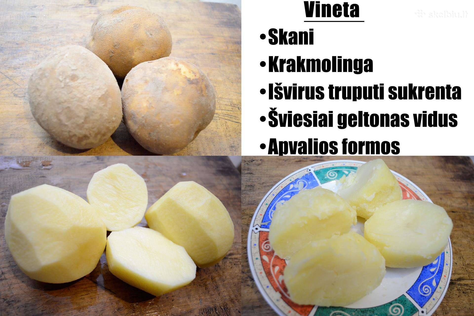 Parduodamos ūkininko skanios bulvės